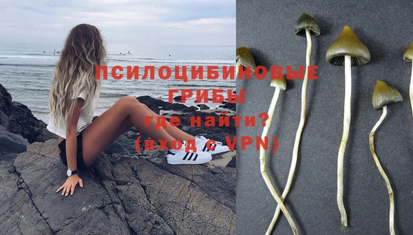 a pvp Ростов